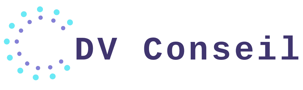 DV-Conseil